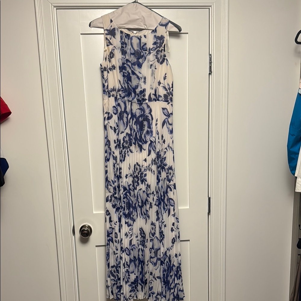 Eliza J Blue and White  Maxi Dress